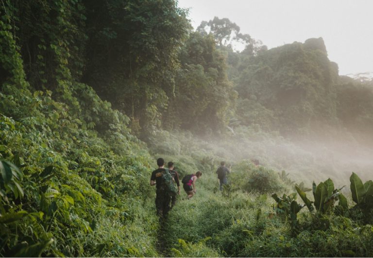 What have Non-Native Species done to Singapore?